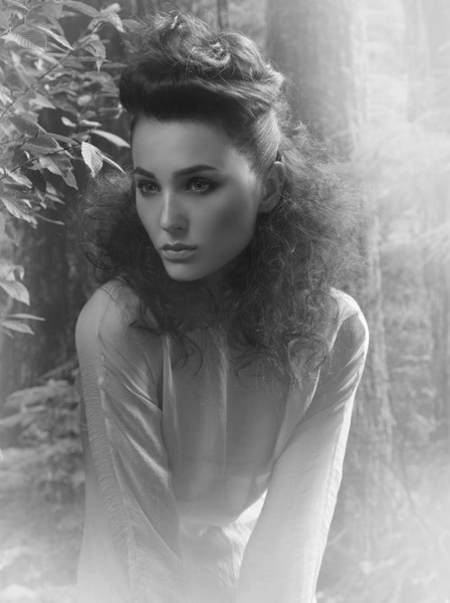 Model Picture
