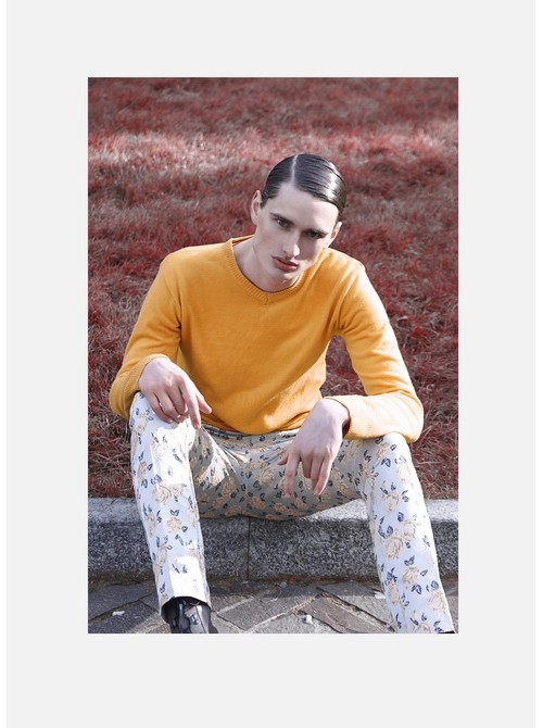 Model Picture
