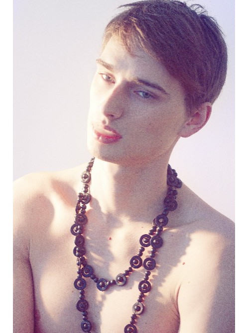 Model Picture
