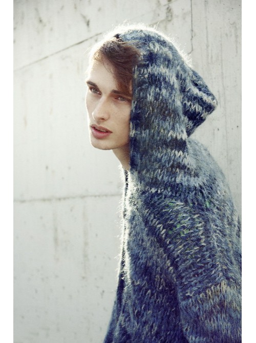 Model Picture