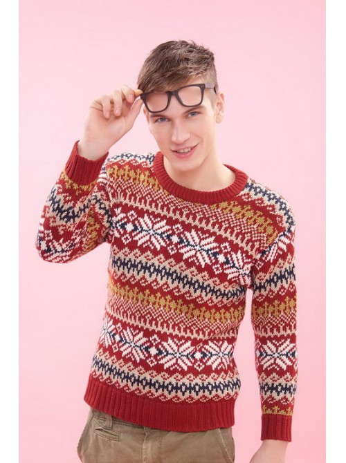 Model Picture