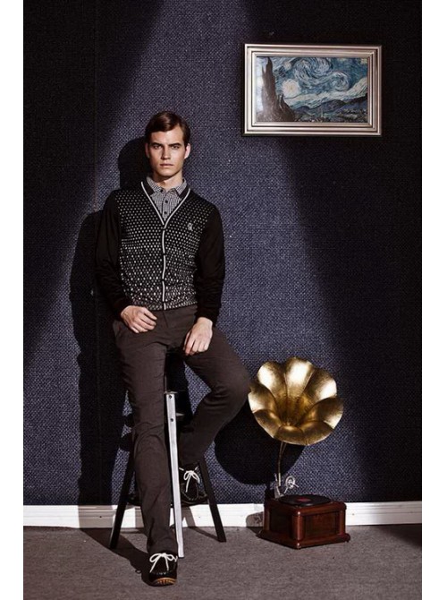 Model Picture