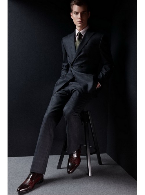Model Picture