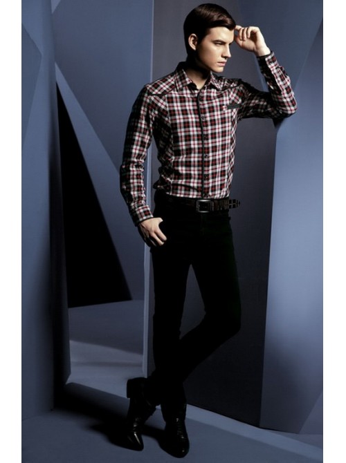 Model Picture