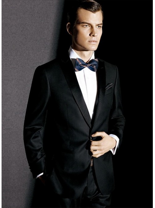 Model Picture