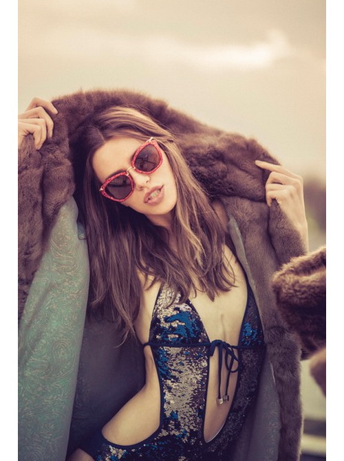 Model Picture