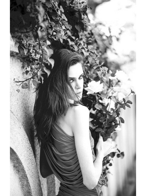 Model Picture