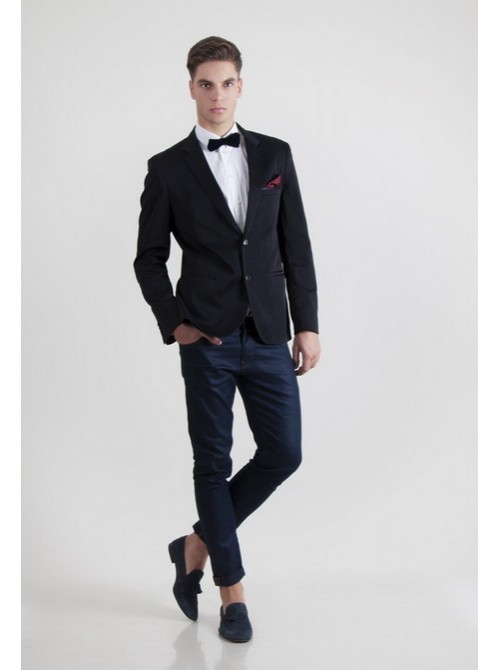 Model Picture