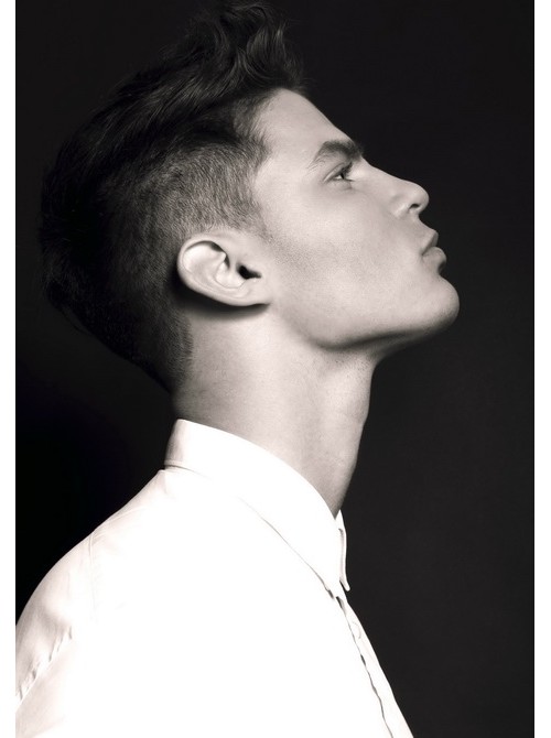 Model Picture