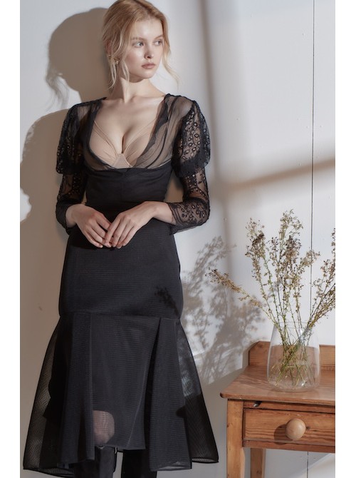 Model Picture