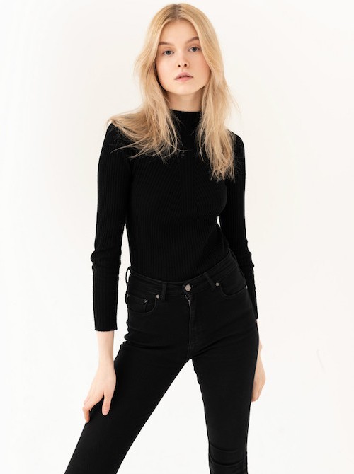 Model Picture