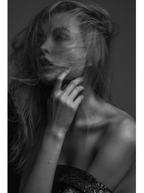 Model Picture