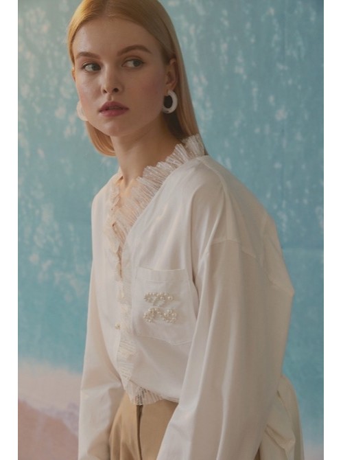 Model Picture