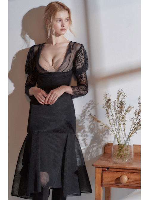 Model Picture