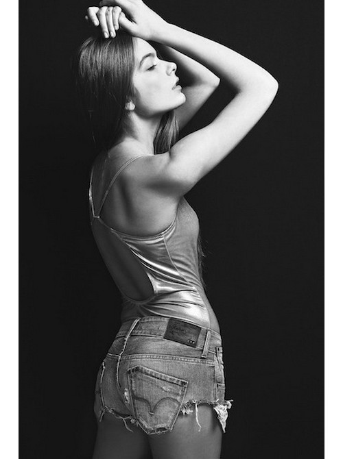 Model Picture