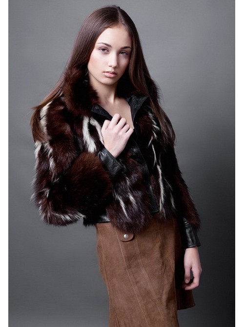 Model Picture