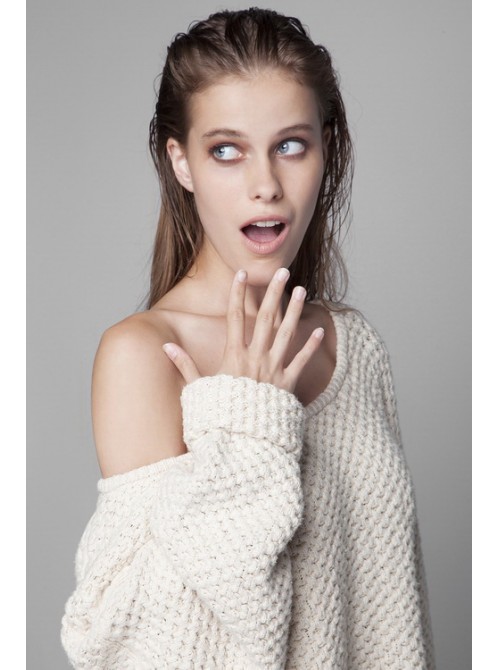 Model Picture