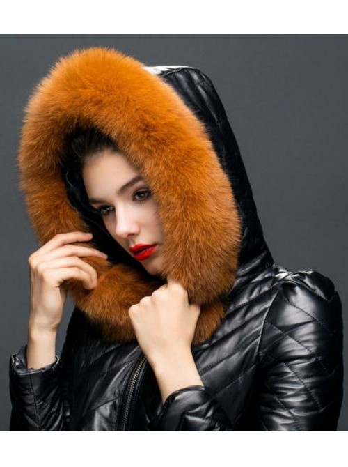 Model Picture